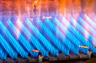 Auchendryne gas fired boilers